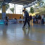 Pulga 3